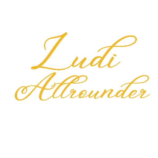 Ludi Allrounder GmbH | 8800 THALWIL ZH